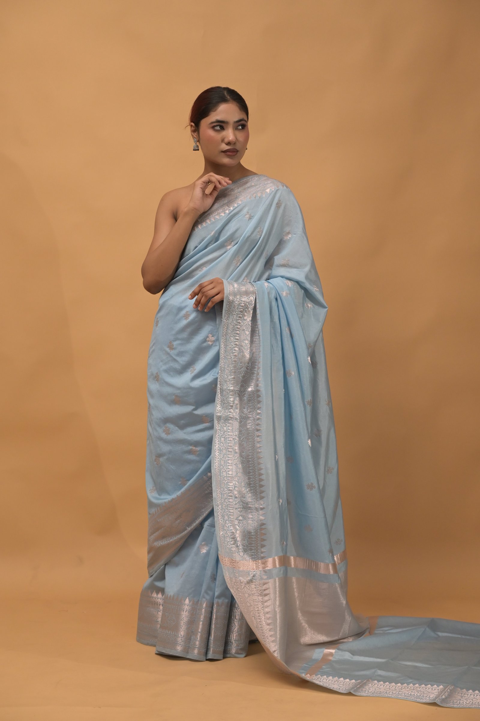 Handwoven Elegance in Pastel Blue Katan Silk Banarasi  Saree